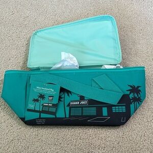 Trader Joe’s Mini Insulated Bag Teal